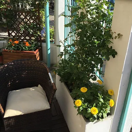 Hotel Gabbiano Alassio