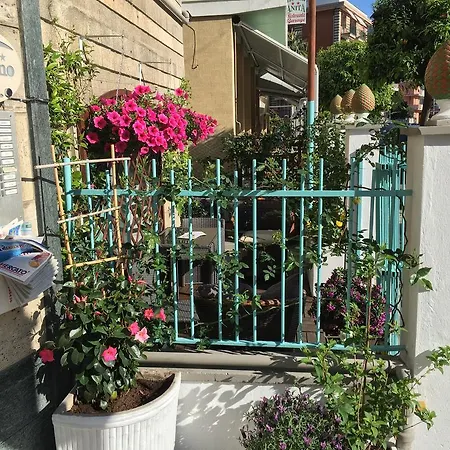 Gabbiano 2* 알라시오