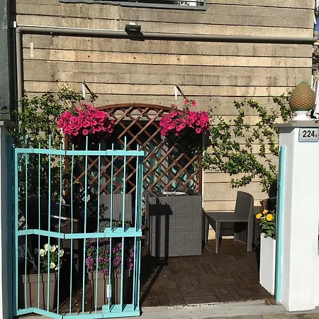 Gabbiano 알라시오