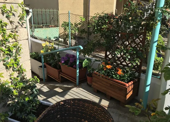 Gabbiano Hotel Alassio