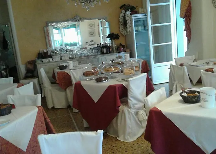 Gabbiano 알라시오